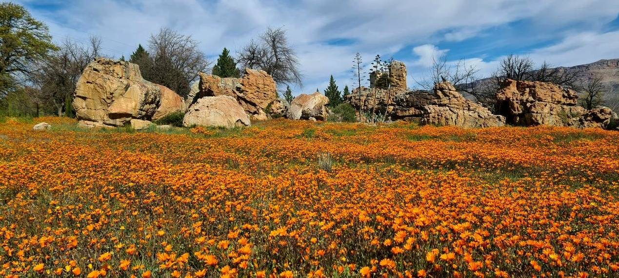 Conferma transazione